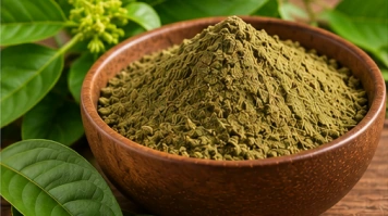 Gymnema sylvestre